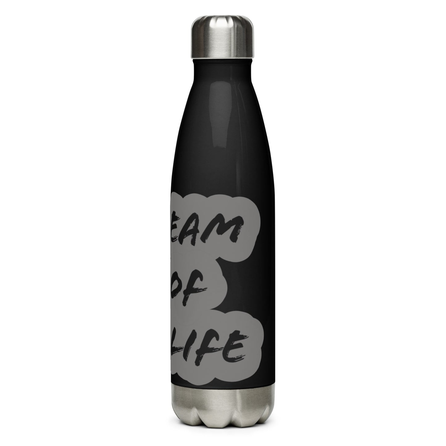 Beam of Life Stainless Steel Water Bottle - Black/Grey Logo