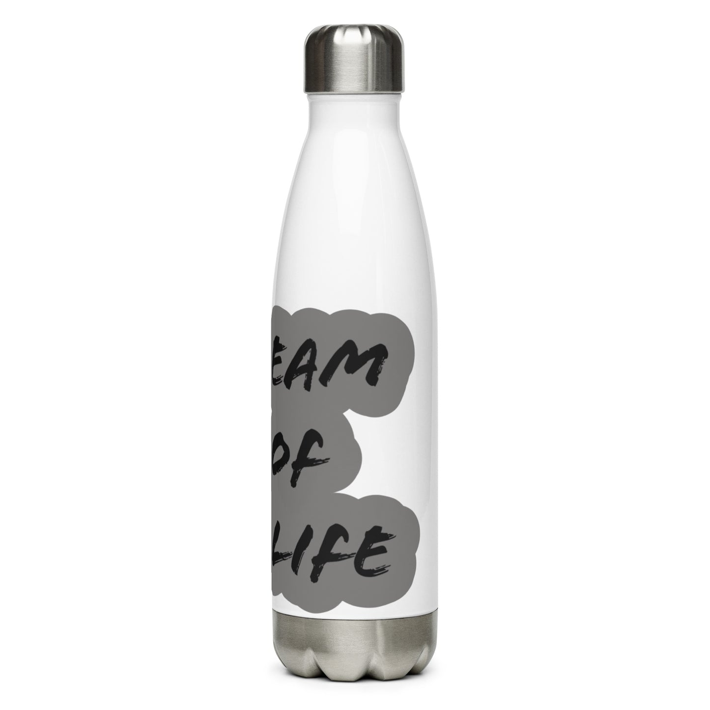 Beam of Life Stainless Steel Water Bottle - Black/Grey Logo